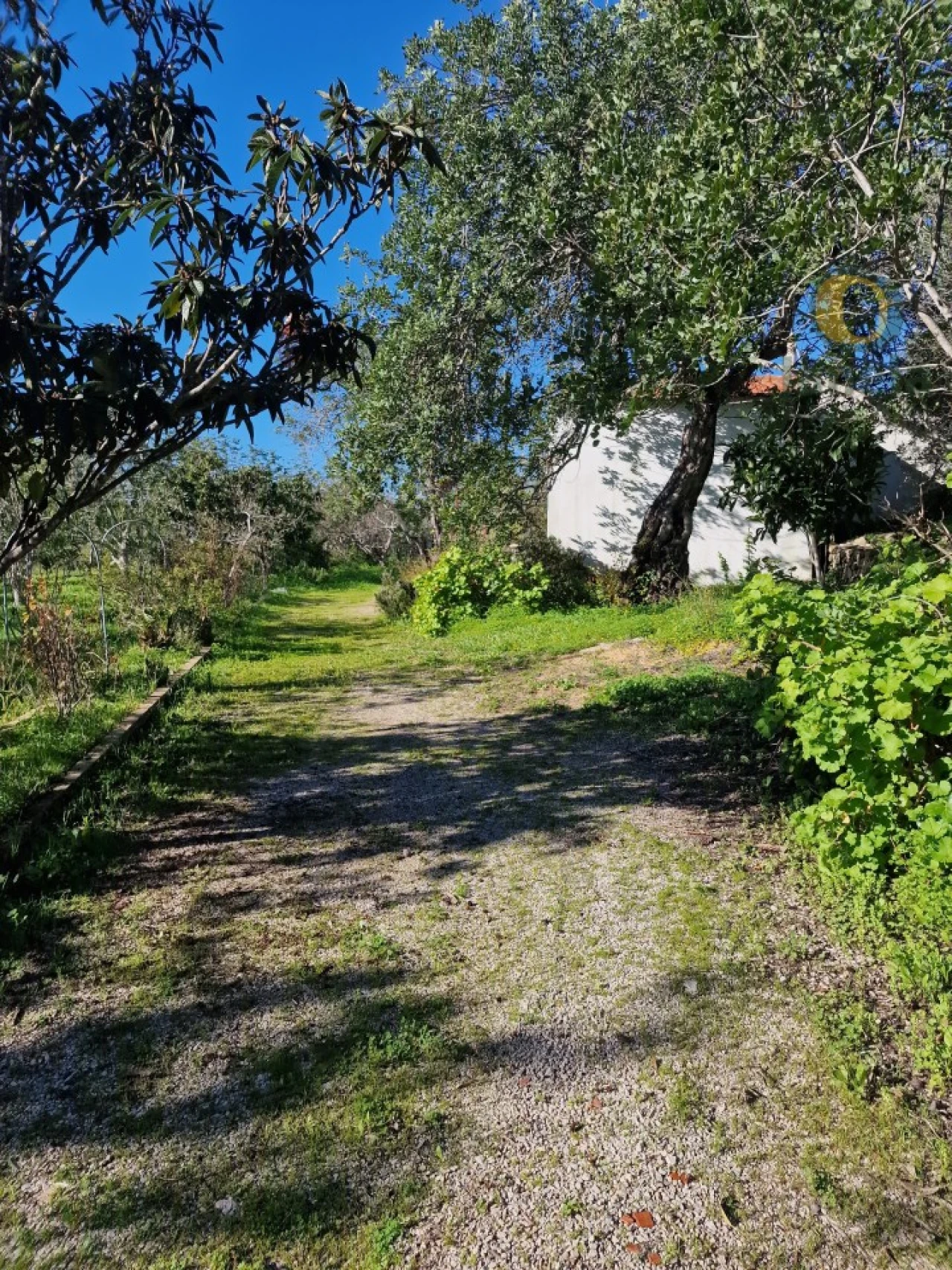 Moradia T1 para Venda em Santa Barbara de Nexe Foto 14