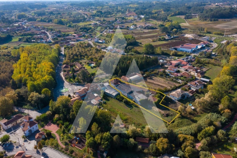 Armazém para Venda em Amoreira da Gândara, Paredes do Bairro e Ancas Foto 3