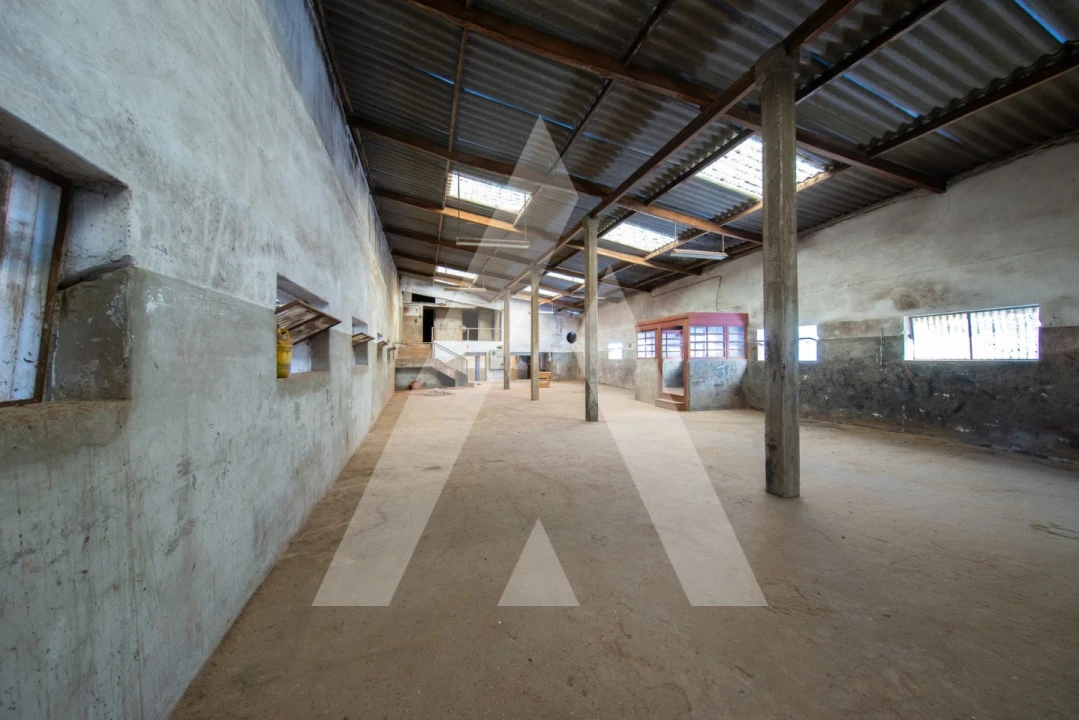 Moradia T2 para Venda em Amoreira da Gândara, Paredes do Bairro e Ancas Foto 29