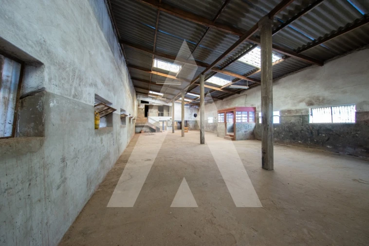 Moradia T2 para Venda em Amoreira da Gândara, Paredes do Bairro e Ancas Foto 29