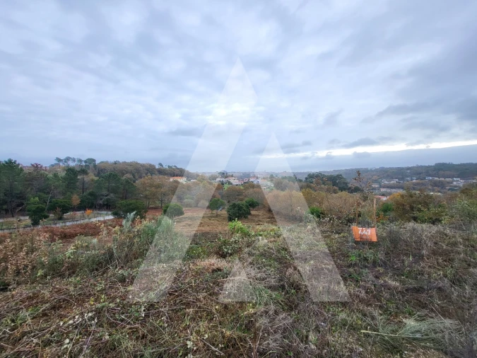 Terreno para Venda em Orgens Foto 4