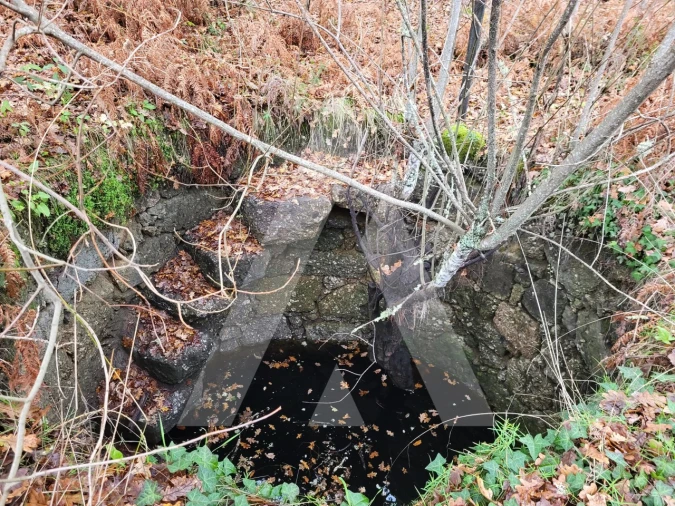 Terreno para Venda em Orgens Foto 7