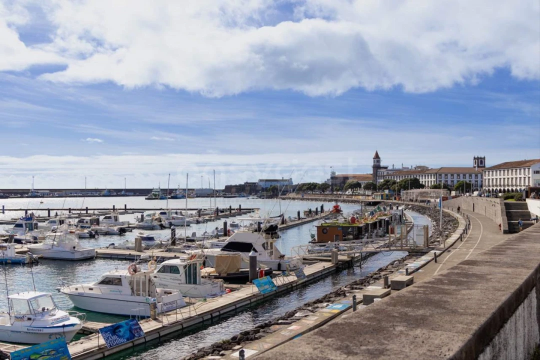 Apartamento T2 para Venda em Ponta Delgada (São Pedro) Foto 5