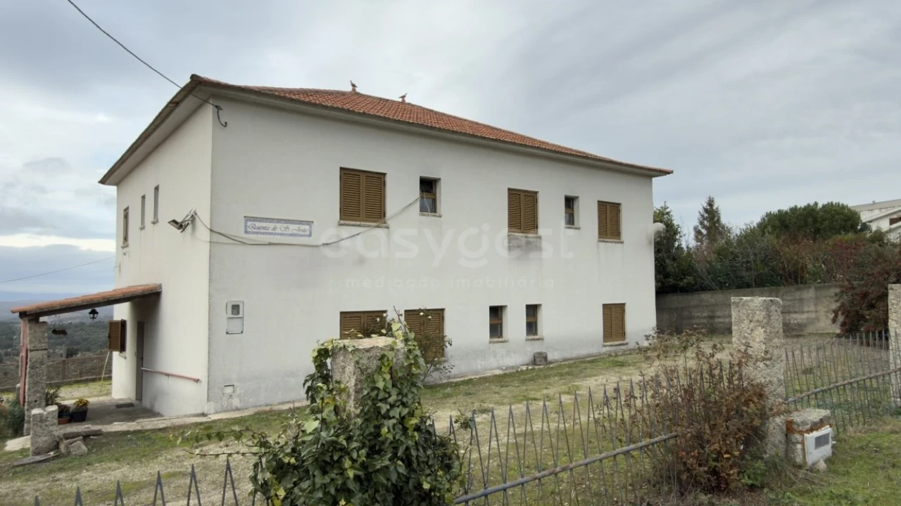 Negócio para Venda em Felgar e Souto da Velha Foto 4