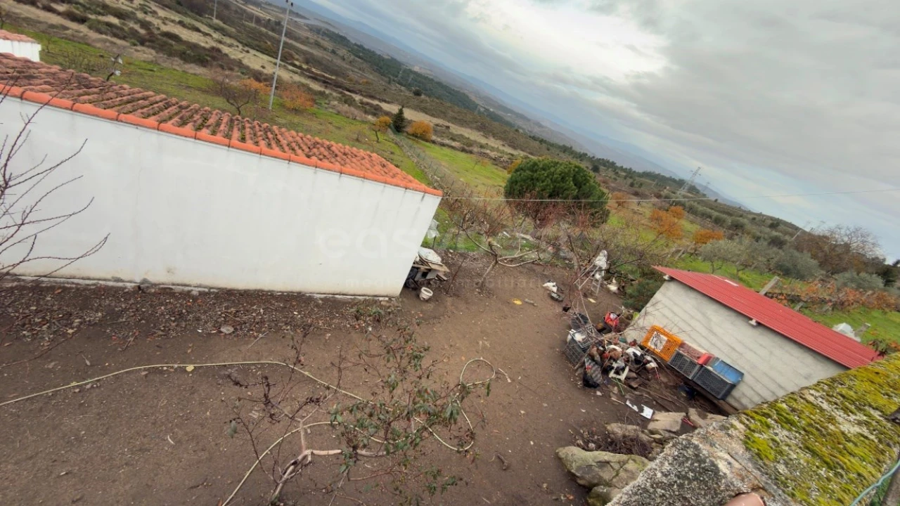 Negócio para Venda em Felgar e Souto da Velha Foto 22