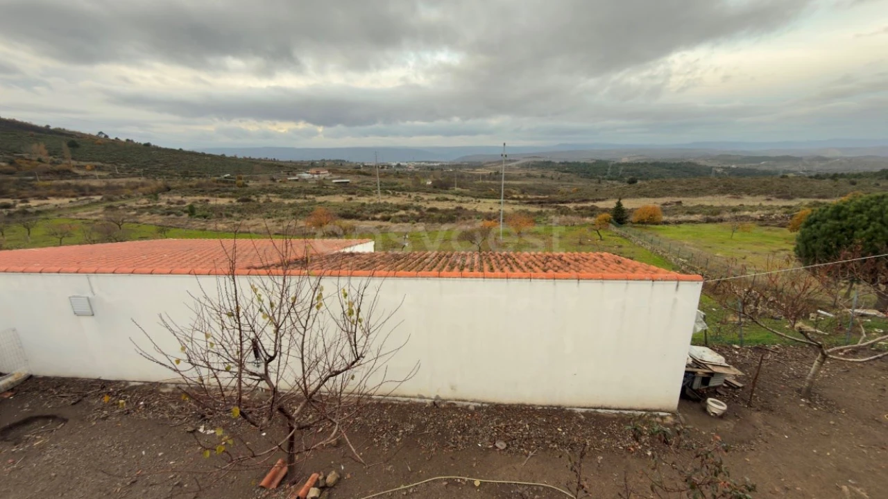 Negócio para Venda em Felgar e Souto da Velha Foto 23
