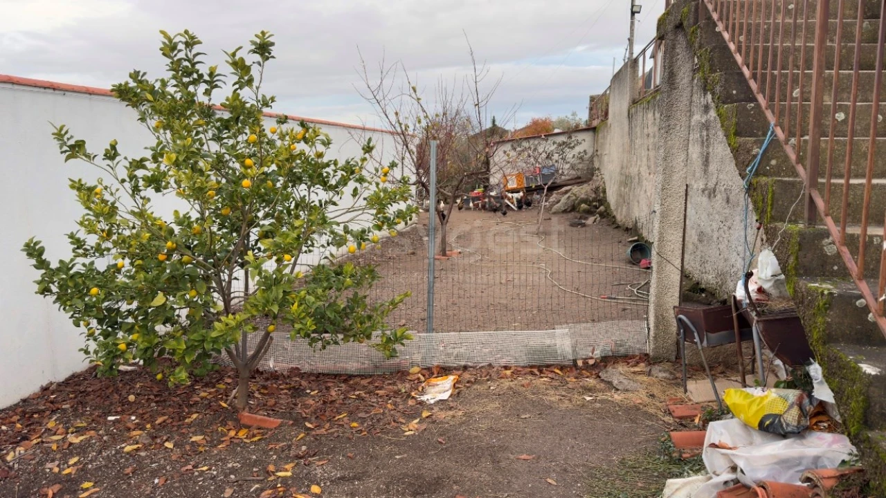 Negócio para Venda em Felgar e Souto da Velha Foto 25