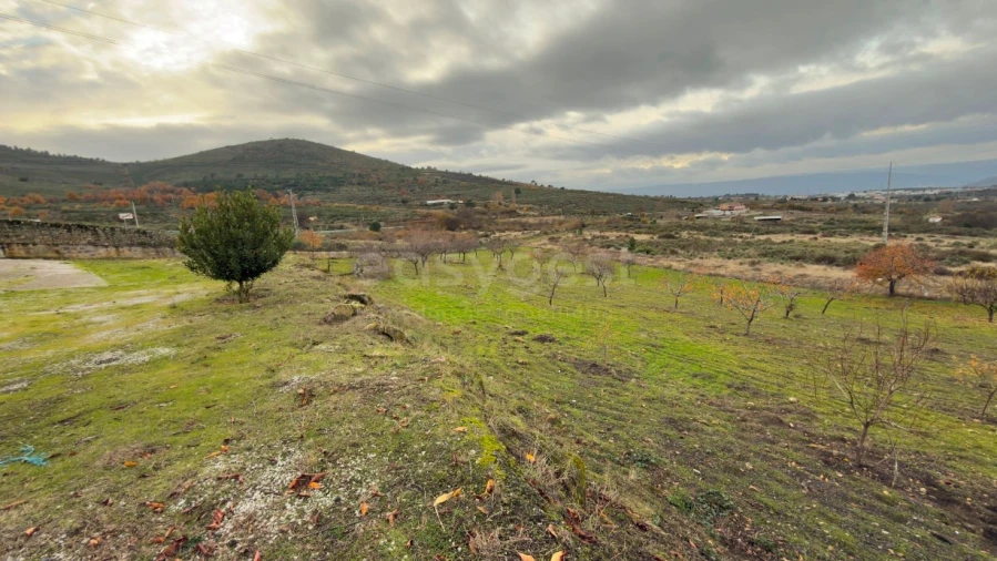 Negócio para Venda em Felgar e Souto da Velha Foto 27
