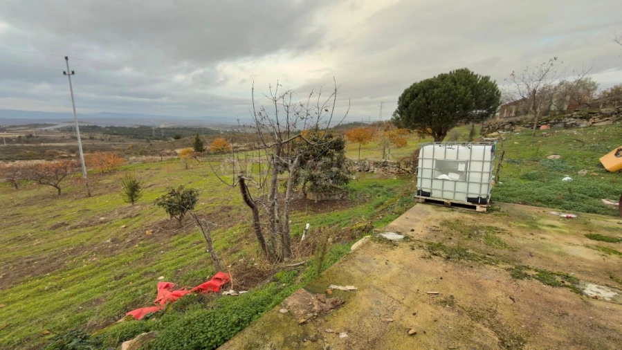 Negócio para Venda em Felgar e Souto da Velha Foto 28