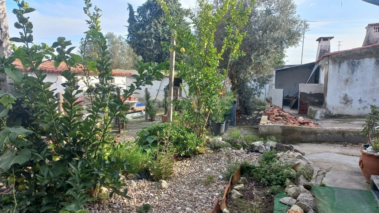 Moradia T2 para Venda em Achete, Azoia de Baixo e Póvoa de Santarém Foto 5