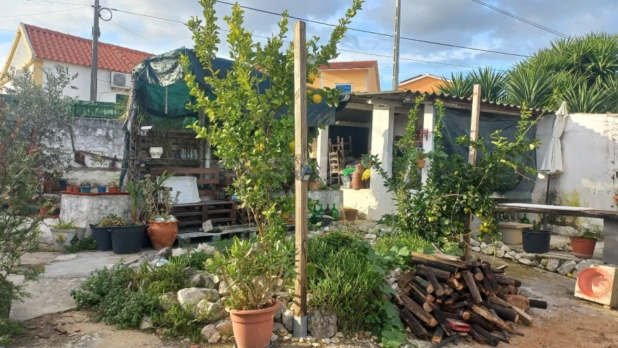 Moradia T2 para Venda em Achete, Azoia de Baixo e Póvoa de Santarém Foto 6