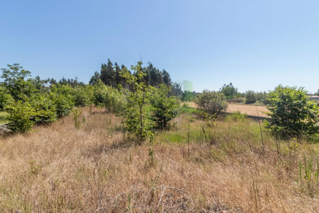 Terreno para Venda em Mira Foto 2