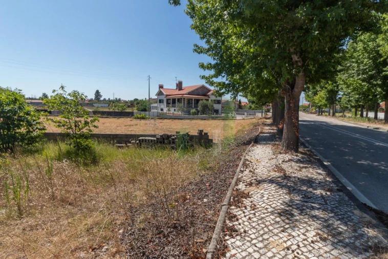 Terreno para Venda em Mira Foto 1