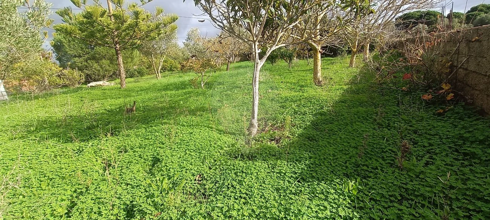 Moradia T2 para Venda em Meca Foto 10