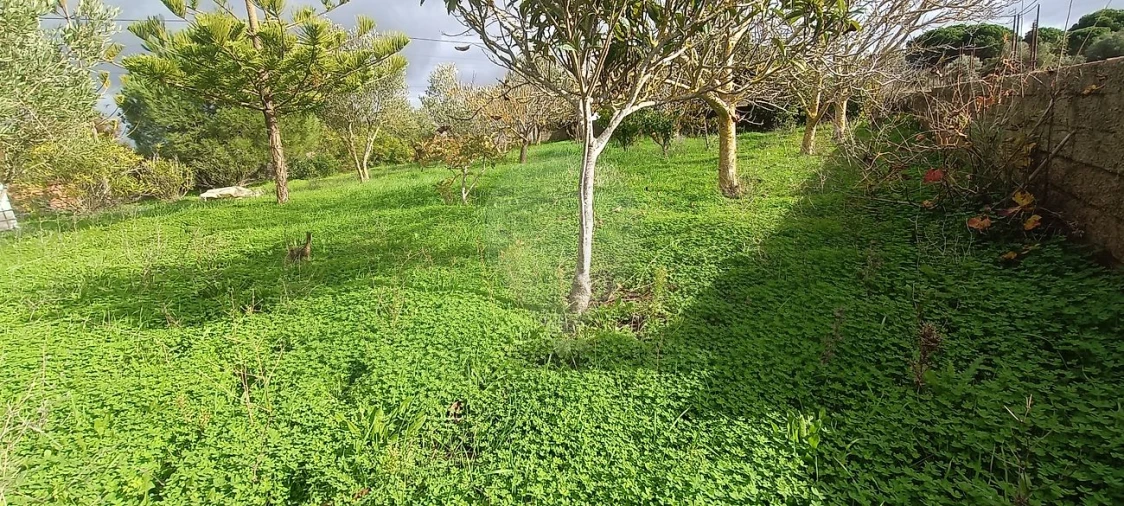 Moradia T2 para Venda em Meca Foto 10