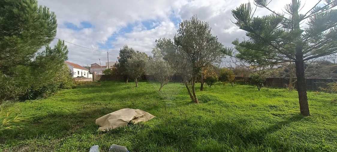 Moradia T2 para Venda em Meca Foto 8