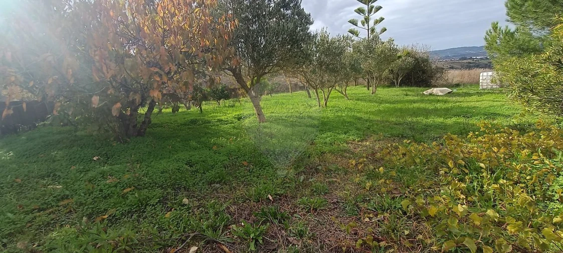 Moradia T2 para Venda em Meca Foto 7