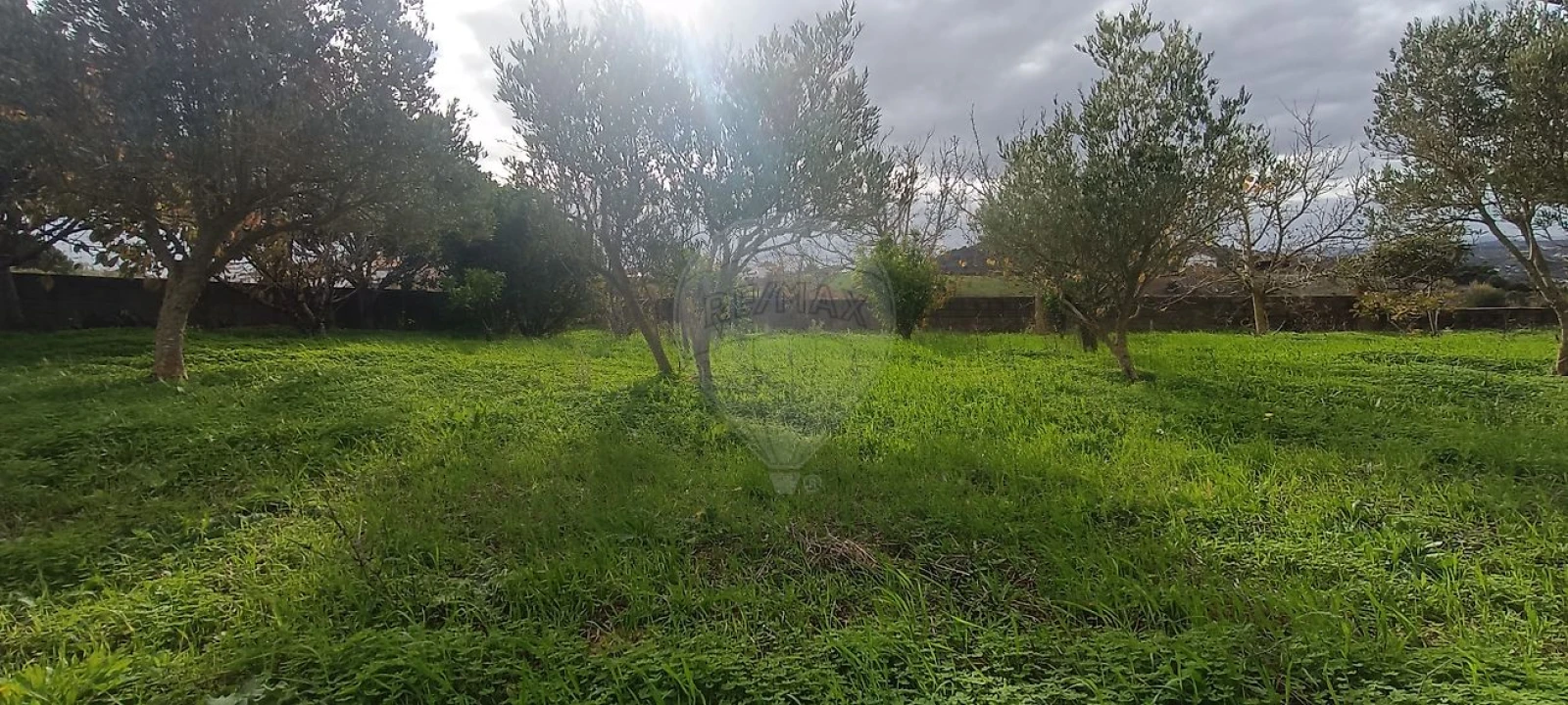 Moradia T2 para Venda em Meca Foto 11