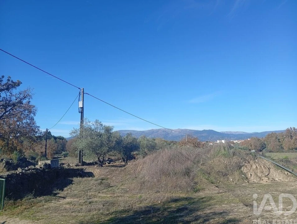 Quinta para Venda em Caria Foto 16