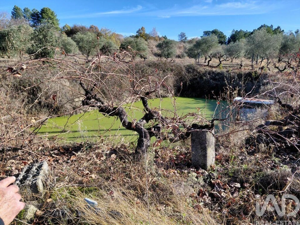 Quinta para Venda em Caria Foto 14