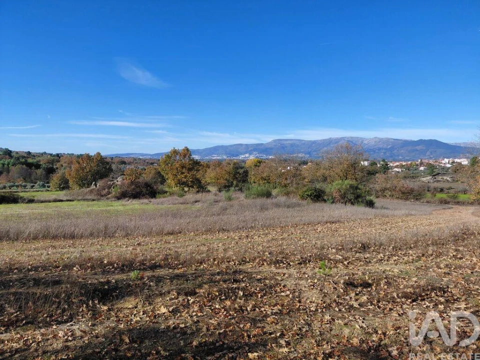 Quinta para Venda em Caria Foto 12