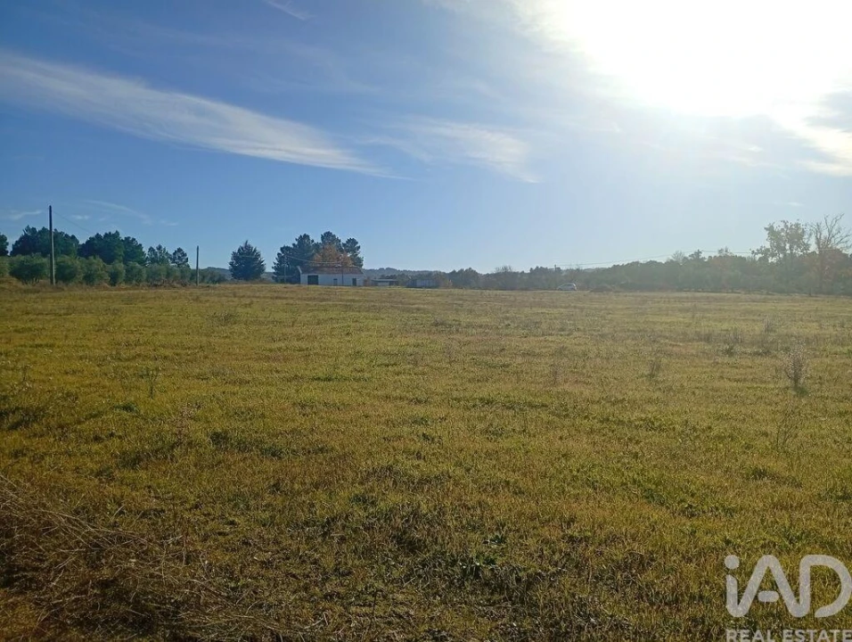 Quinta para Venda em Caria Foto 13