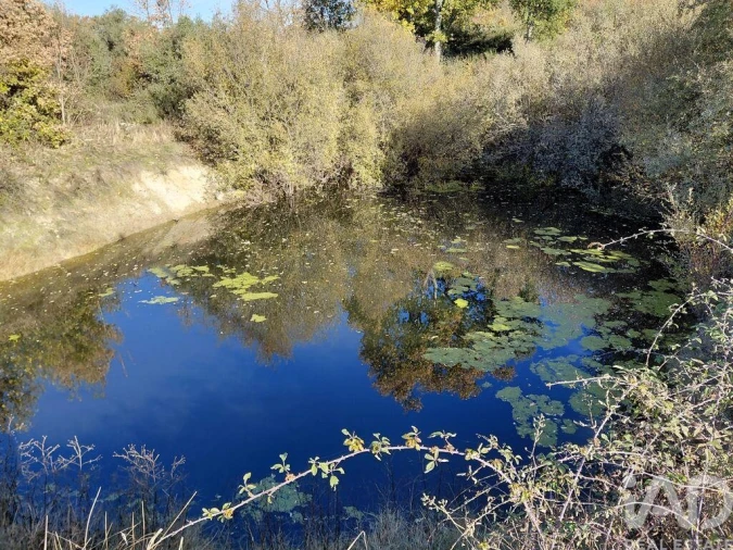 Quinta para Venda em Caria Foto 9