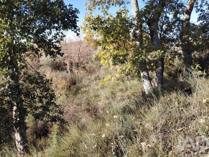 Quinta para Venda em Caria Foto 18
