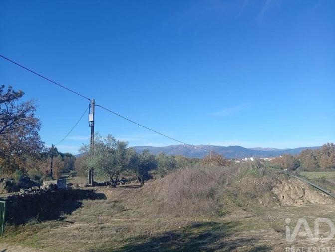 Quinta para Venda em Caria Foto 16