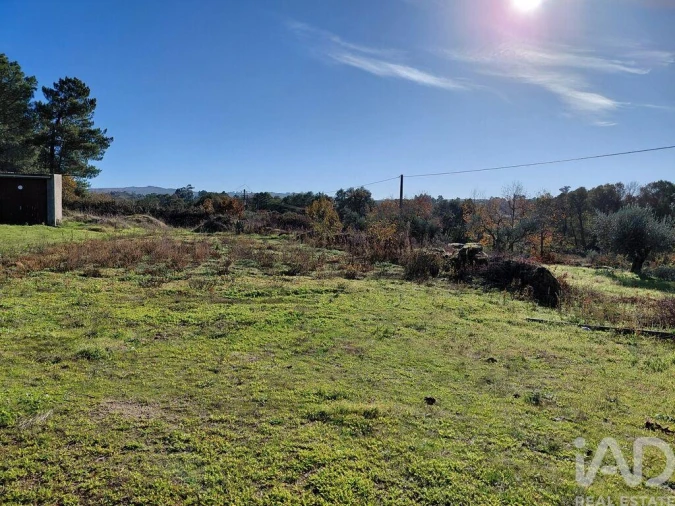 Quinta para Venda em Caria Foto 2