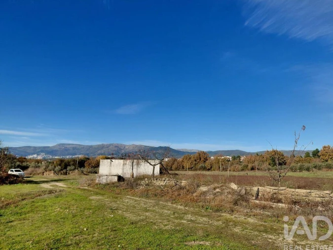 Quinta para Venda em Caria Foto 11