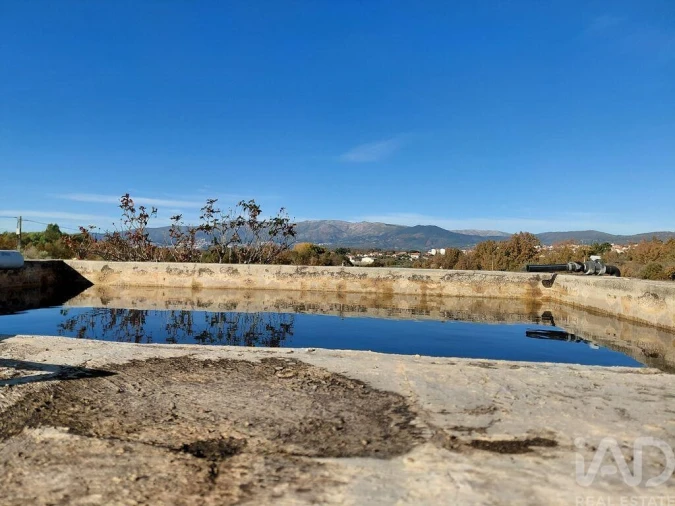 Quinta para Venda em Caria Foto 3