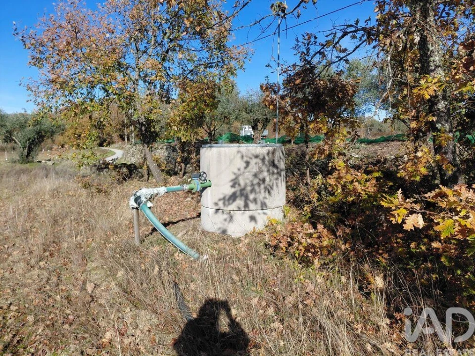 Quinta para Venda em Caria Foto 21
