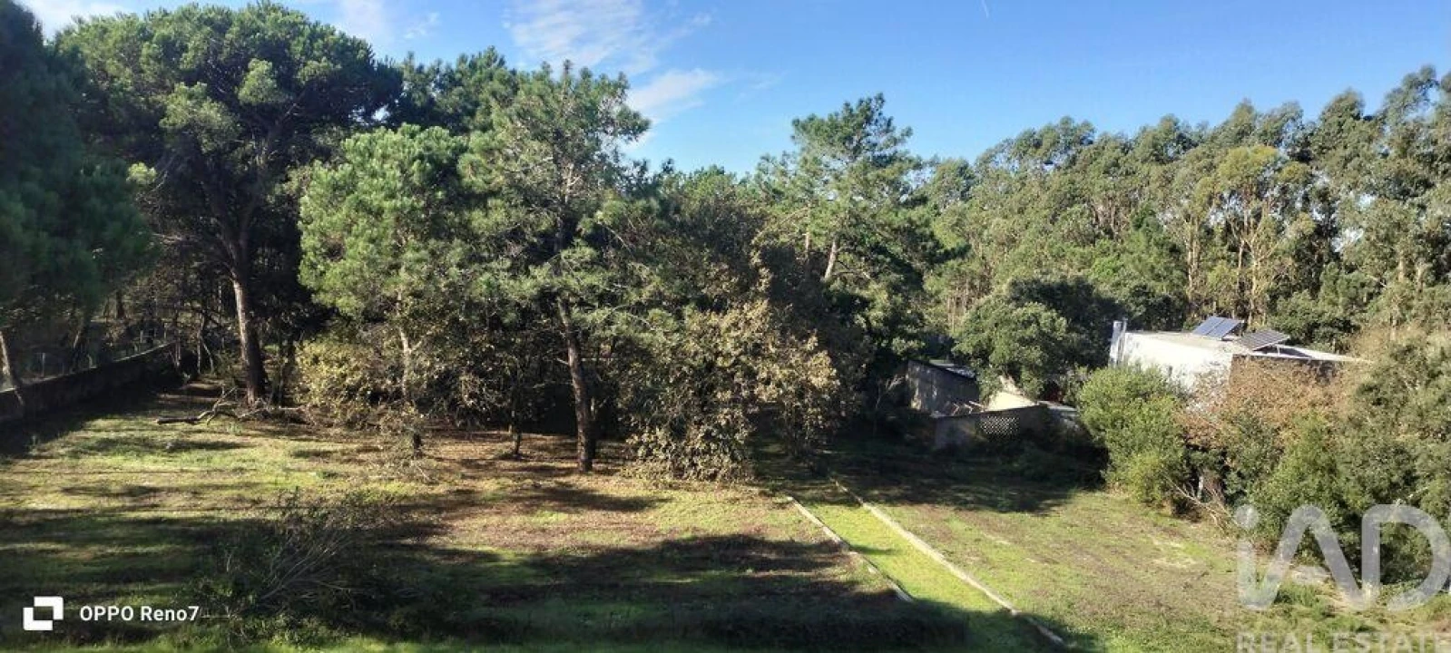 Prédio para Venda em Arvore Foto 9