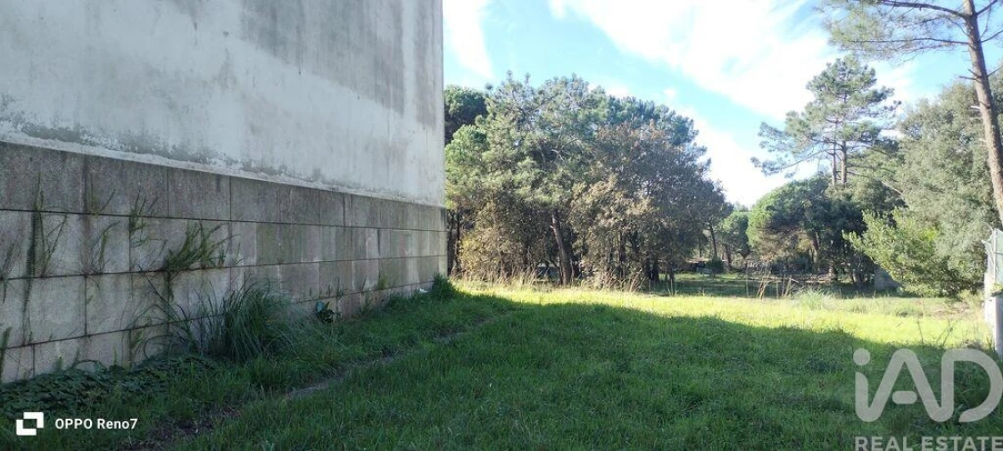 Prédio para Venda em Arvore Foto 17