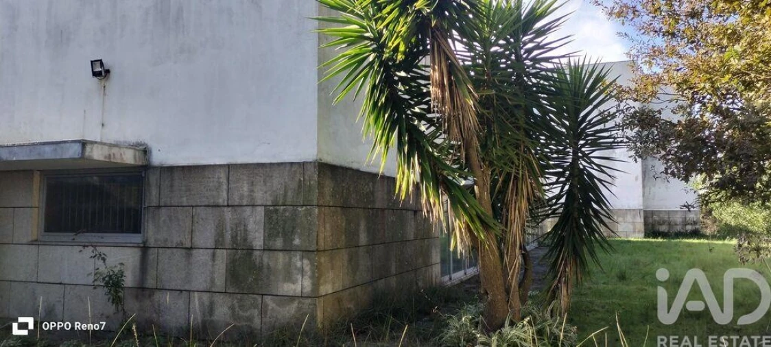 Prédio para Venda em Arvore Foto 11