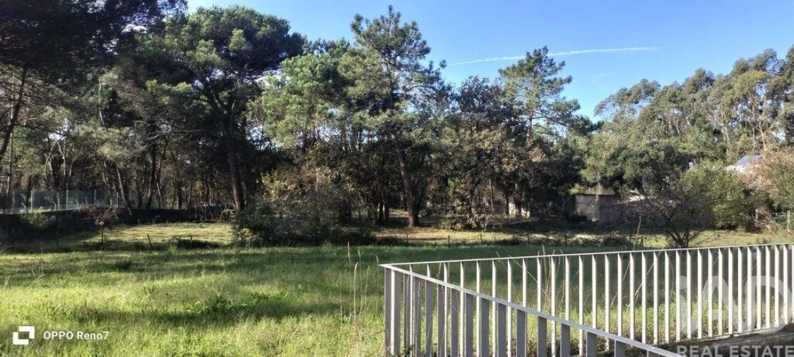 Prédio para Venda em Arvore Foto 37