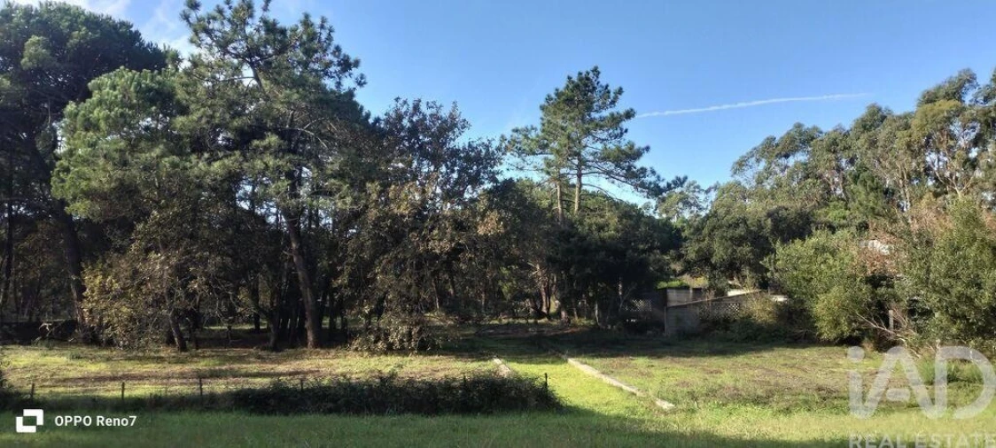 Prédio para Venda em Arvore Foto 14