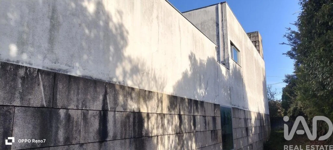 Prédio para Venda em Arvore Foto 12