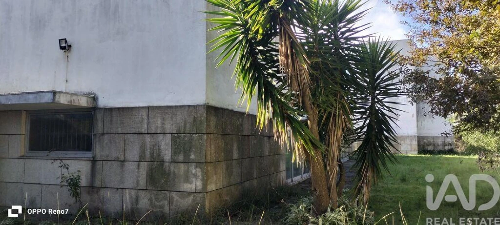 Prédio para Venda em Arvore Foto 11