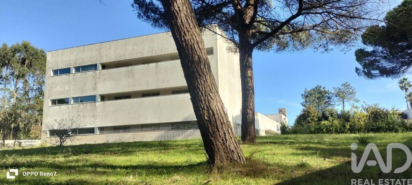 Prédio para Venda em Arvore Foto 3