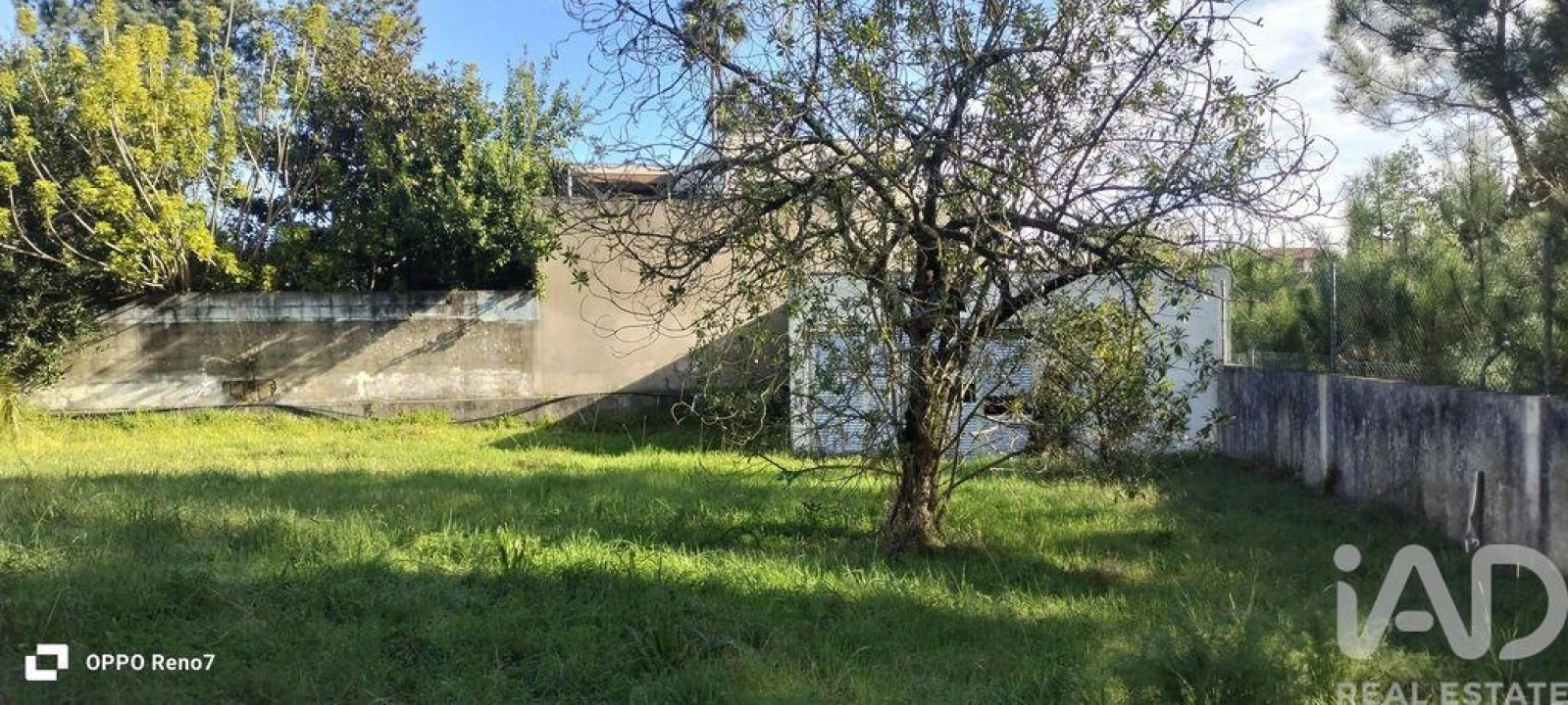 Prédio para Venda em Arvore Foto 15