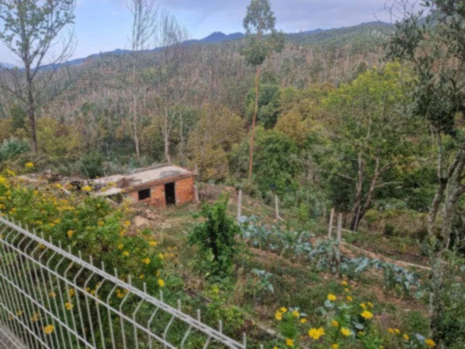 Moradia T3 para Venda em Sever do Vouga Foto 7