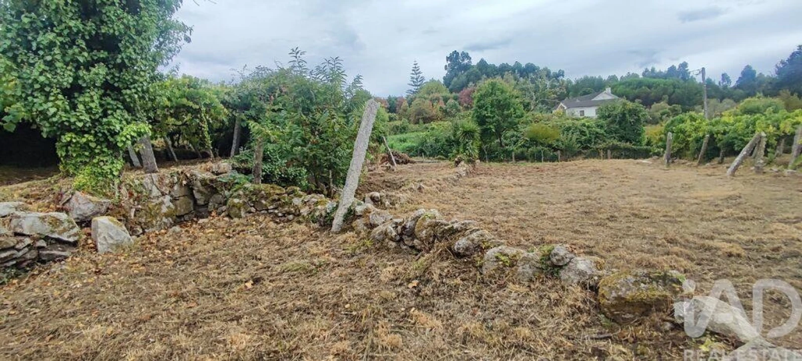 Moradia T5 para Venda em Loivo Foto 17