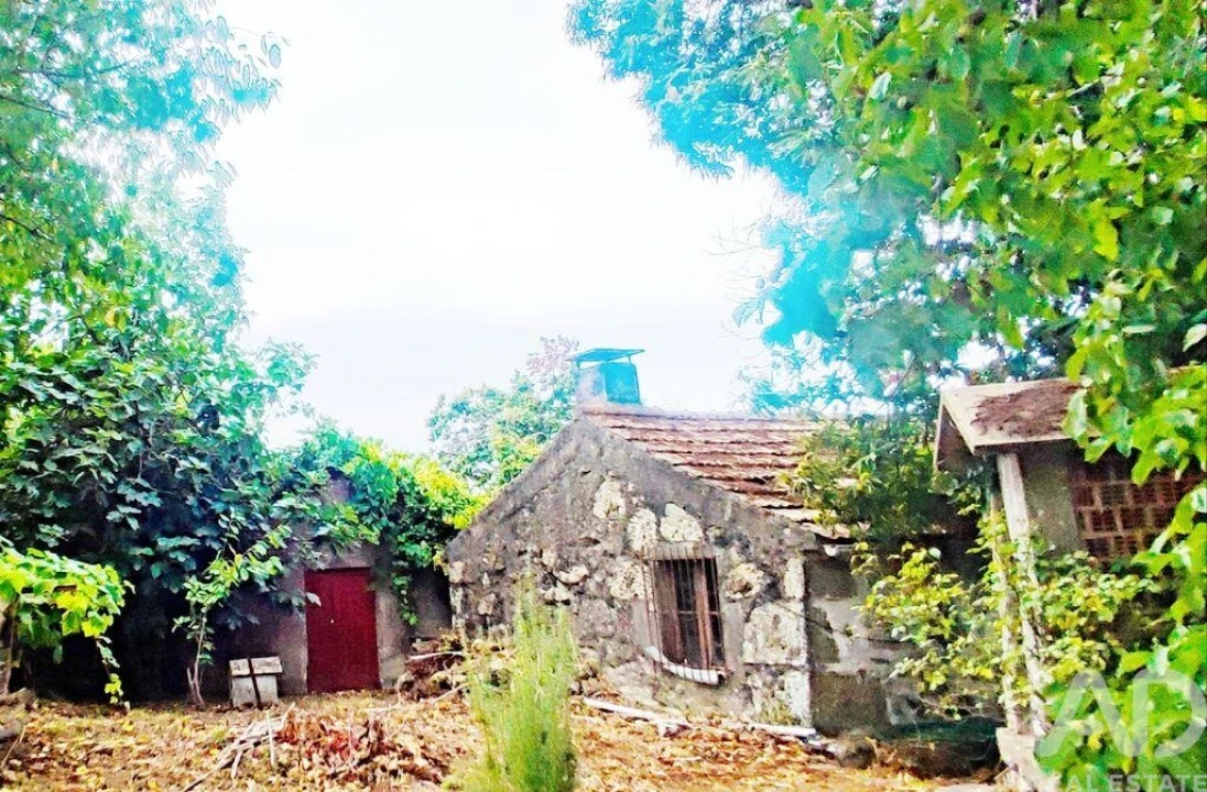 Moradia T5 para Venda em Loivo Foto 24