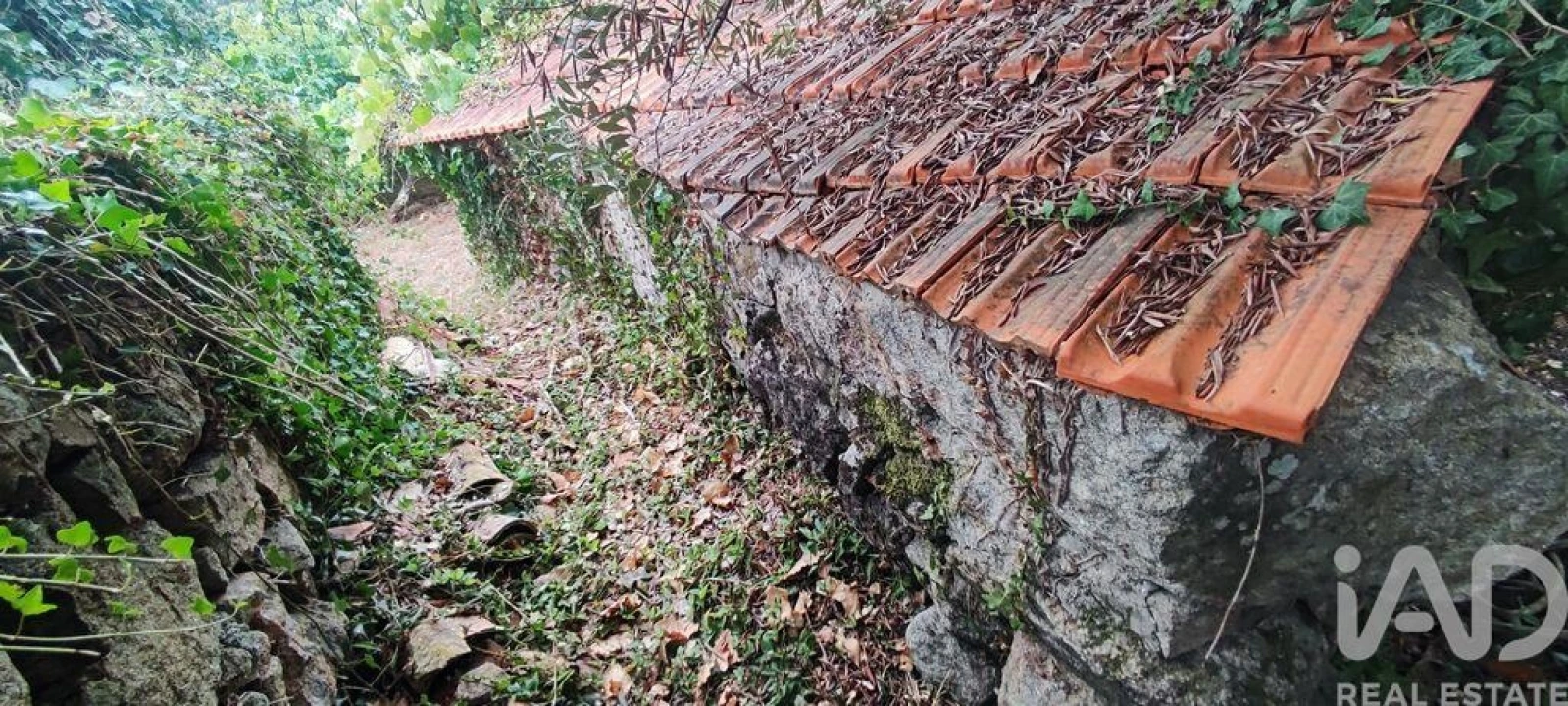 Moradia T5 para Venda em Loivo Foto 18