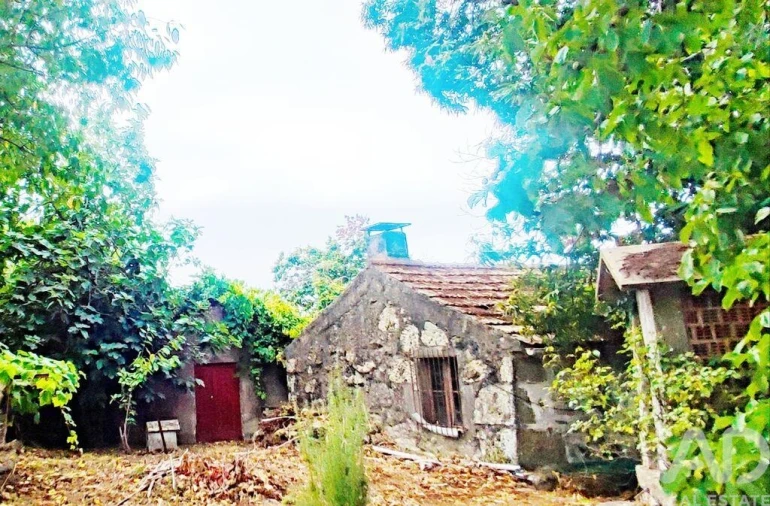 Moradia T5 para Venda em Loivo Foto 24