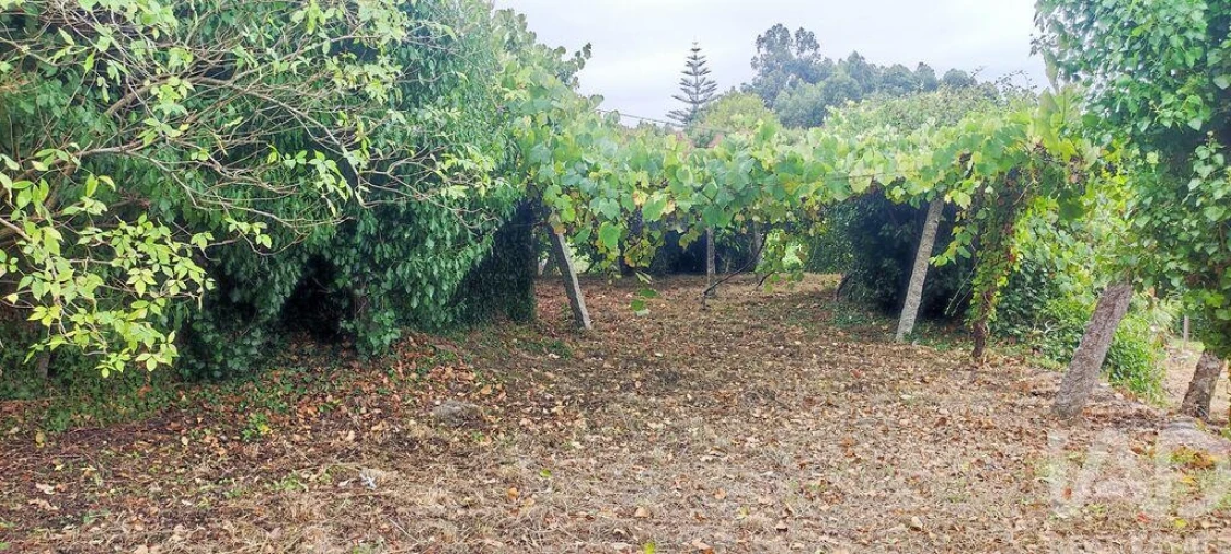 Moradia T5 para Venda em Loivo Foto 19