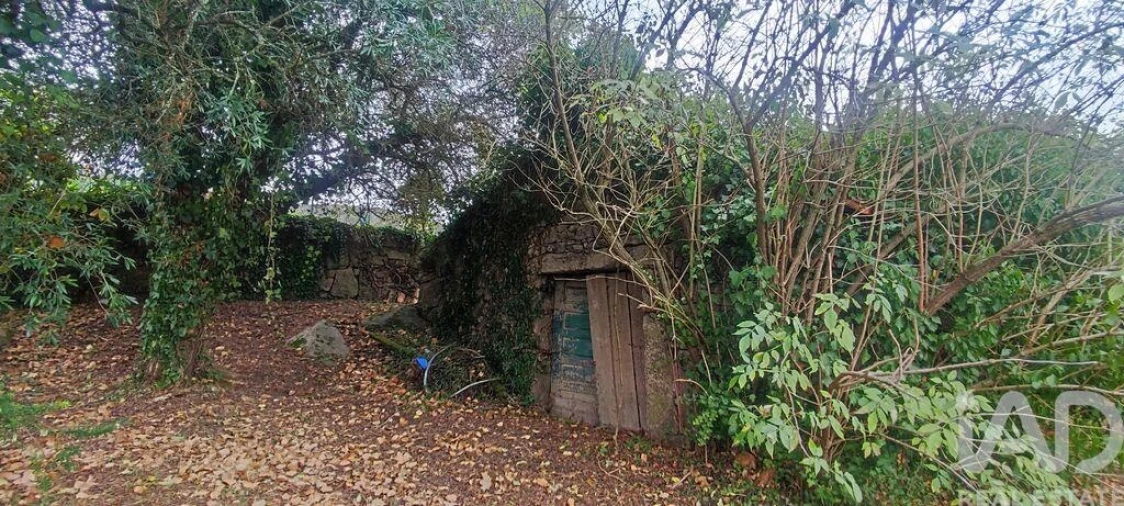 Moradia T5 para Venda em Loivo Foto 15