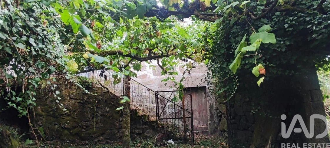 Moradia T5 para Venda em Loivo Foto 25